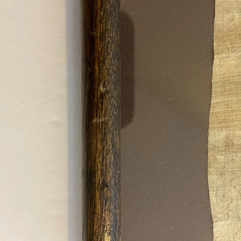 Egyptian Papyrus Framed